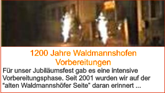 1200 Jahre Waldmannshofen Vorbereitungen Für unser Jubiläumsfest gab es eine intensive Vorbereitungsphase. Seit 2001 wurden wir auf der “alten Waldmannshöfer Seite” daran erinnert ...